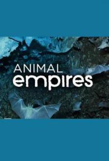 Hayvan İmparatorlukları